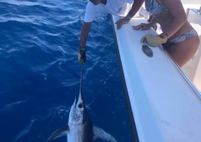 Double 00 Key West Fishing Charters Offshore Fishing