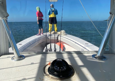 Double 00 Key West Fishing Charters Looking for Pilchards