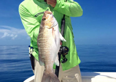 Double 00 Key West Fishing Charters Mangrove Snapper